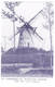 Mariekerke: De Witte Molen - Scheldedijk ( 2 Scans) - Other & Unclassified