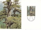 Liechtenstein 1980 The Forest In 4 Seasons Set Of 4 Maximum Cards And Original Envelope - Maximumkarten (MC)