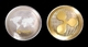 1 Pièce Plaquée OR Et ARGENT ( GOLD And SILVER Plated Coin ) - Ripple XRP - Other & Unclassified