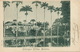 Barbados  Codrington College  P. Used Port Of Spain Trinidad In 1902 - Barbados