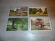 Delcampe - Beau Lot De 60 Cartes Postales De Fantaisie Paysages Paysage Mooi Lot Van 60 Postkaarten Fantasie Landschappen Landschap - 5 - 99 Cartes