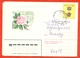 Kazakhstan 1997. Rose. The Envelope Passed Mail. - Kazakistan