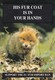 Postcard Fox Cub His Fur Coat Is In Your Hands Animal Protection Support The Fur Ban Campaign My Ref  B23568 - Other & Unclassified