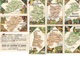 LOT DE 10 IMAGES  DEPARTEMENTS -PUBLICITE TISANE DES CHARTREUX DE DURBON - Tea & Coffee Manufacturers