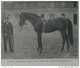 Delcampe - 1901 UN VIEUX FAUCONNIER - LA LUTTE ET LES LUTTEURS - LE HARAS DE ROEMERHOF - LA CAROUBE - Autres & Non Classés