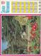 CALENDRIER  SERVICE DU NETTOIEMENT  DES EBOUEURS    ANNEE 1987  PAYSAGE    ****   A  SAISIR  *** - Grand Format : 1981-90