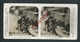 France, Paris. Photo Stéréoscopique. Le Tondeur De Chiens Au Quai.  Au Dos,  Publicité Café, Van Zuylen,  Liège. - Stereoscopic