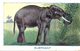 CHROMO BON POINT LE SIROP DE DESCHIENS  ELEPHANT - Altri & Non Classificati