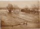 Ancienne Photo Sépia / Langres / Prairies Sous Les Eaux / Fin Années 50 - Lieux