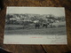 1902 Mamers Panorama Attelage Charrue Chevaux - Mamers