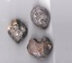 Lot De 3 Brachiopodes (Sud France)  1 Forme Coeur 3/3 Cm-3,5/2,5 Cm-3,5/2,5cm état Brut - Fossiles