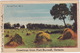 Port Burwell - Harvest Time  RC.2 -  (Ontario, Canada) - 1944 - Andere & Zonder Classificatie