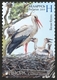 Belarus 2019 Europa  Bird Birds Fauna Stork Set 2v MNH - Belarus