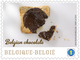 Delcampe - Blok 206**Chocolade** Feuille 4315/19** Bloc Chocolat MNH - Perfect Sheet Belgium 2013 - 1961-2001