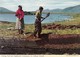 Postcard Cutting Turf Near Oughterard Connemara Co Galway Ireland My Ref  B23590 - Galway