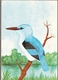 Mozambique ** & Postal Stationery, Moçambique Birds, Guarda-Rios, Halcyon Senegalensis, Maputo 1987 (1864) - Mosambik