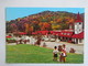 Carte Postale : U.S.A. : Georgia : ALPINE VILLAGE "HELEN" - Autres & Non Classés