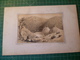 Esch-Sur-Sure. Luxembourg. Lithographie Originale Vers 1840. Grand Duché - Estampes & Gravures