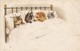 4 Cats In Bed , 1903 - Katzen