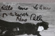 Musica Lirica - Autografo Del Mezzosoprano Rina Pallini - 1975 Ca. - Altri & Non Classificati