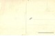 3425 "CROCE FORMATA DA OTTO BACHI DA SETA PRESSO LE SORELLE M.F.C.POLA IN CALDONAZZO 1923" CART. POST. ORIG. NON SPED. - Altri & Non Classificati