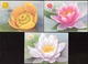 Moldova 2019 Water Lilies Flowers Definitives 3 Maxicards - Moldova