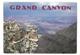 U.S.A. Stati Uniti D’America Grand Canyon, Arizona Viaggiata 1991 Condizioni Come Da Scansione - Grand Canyon