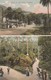 Malaysia  PENANG  Road To The Hills Dual View  Pg337 - Malaysia