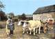 58-CHATEAU-CHINON-LES-GALVACHERS- TROUPE FOLKLORIQUE NORVANDELLE - Chateau Chinon