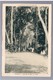 TANZANIA Tanganika Une Halte Dans La Foret Ca 1920  OLD POSTCARD - Tanzanie