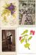 Delcampe - LOT DE 100 CARTES FANTAISIES Petits Formats (toutes Les Cartes Sont Scannées) - 100 - 499 Postcards