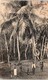 ASIE - SRI LANKA ( CEYLON ) -- Cocout Palms - Sri Lanka (Ceylon)