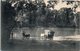 ASIE - SRI LANKA ( CEYLON ) -- Padda Boats Ratnapura - Sri Lanka (Ceylon)