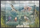 Macedonia 2019 Europa Birds Of Prey Animals Fauna Falcon Falcons Booklet MNH - 2019