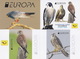 Macedonia 2019 Europa Birds Of Prey Animals Fauna Falcon Falcons Booklet MNH - 2019
