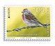 Luxemburg 2019  EUROPA NATIONAL BIRDS  EUROPA NATIONALE VOGELS   SET VAN 2                             Postfris/mnh/neuf - Ongebruikt