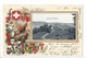 22043 -  Erlach-Cerlier Armoiries Drapeaux Cantons Suisses Et Chamois 1904 Carte En Relief (pli Vertical) - Cerlier