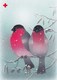 Postal Stationery - Birds - Bullfinches In Winter - Red Cross 1994 - Suomi Finland - Postage Paid - Jaana Aalto - Interi Postali