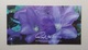 Raymond Evison's Wild Flora. Presentation Packs With 2008 & 2009 Stamp Sets - Altri & Non Classificati