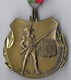 MEDAILLE Marche Populaire Organisée Par Le 110° RI En Allemagne En 19174 - DONAUESCHINGEN - France