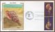 1984 Sea Shells Set FDC 5 Covers SILK - Palau