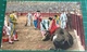 Bullfighting ~ La Puntilla ~ Matadors ~ Bull - Corrida