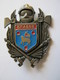 INSIGNE DES SAPEURS POMPIERS POMPIER DE GRASSE 06  ETAT EXCELLENT - Pompiers