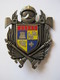 INSIGNE DES SAPEURS POMPIERS POMPIER DE ASSAS 34 ETAT EXCELLENT - Pompiers