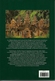 Angkor Cté Khmère Par Claude Jacques Et Michael Freeman, Books Guides Cambodge - Tourism