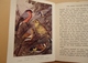 Delcampe - Margaret Cameron - The Rambler Nature Books - By Common Pinewood And Bog - 8 Coloured Pictures - Guide Du Randonneur