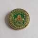 SCOUT SCOUTING OLD CROATIA BOY SCOUT UNIT "DRAGICA DELIJA" KUTINA  PIN BADGE BROCHE DISTINTIVO INSIGNE - Scouting