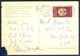 K1046-  Postal Used Post Card. Post From Vatican To USA.  Plants. Trees. - Other & Unclassified