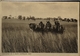 Australia (SA) Harvester On A South Australian Farm 19?? Tucks Card - Andere & Zonder Classificatie