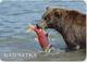 Calendar Russia 2020 - Animals - Bear - Sea - Fish - Fishing - Beautiful - Travel - Advertising. - Small : 2001-...